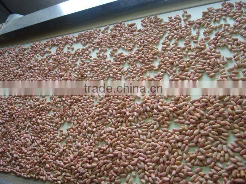 peanut kernels and peanuts kernel