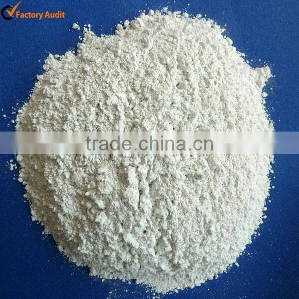 Diatomite earth