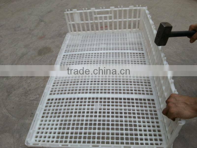 Big strong chicken transport crates
