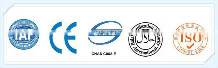 Meat Processing Plant Small Size Dual Chamber Vacuum Packaging Machine