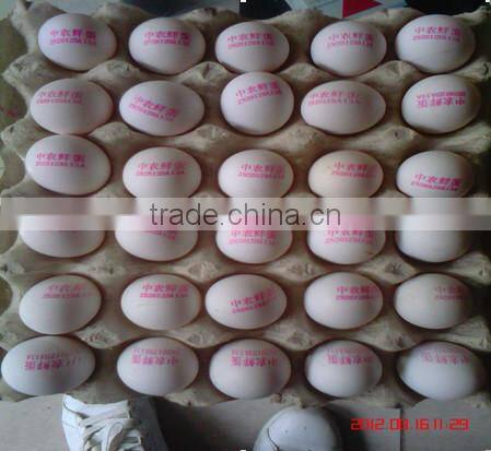 solvent inkjet printing machine