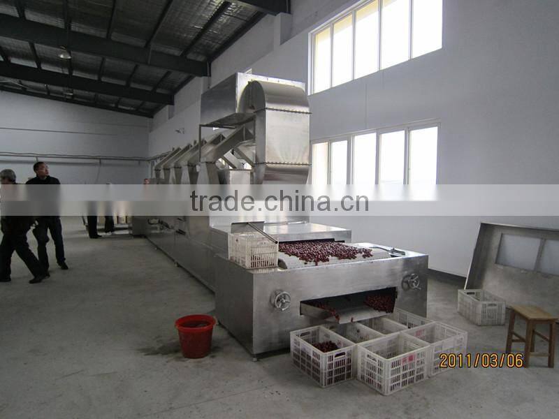 Industrial tunnel type microwave red dates dryer & sterilizer