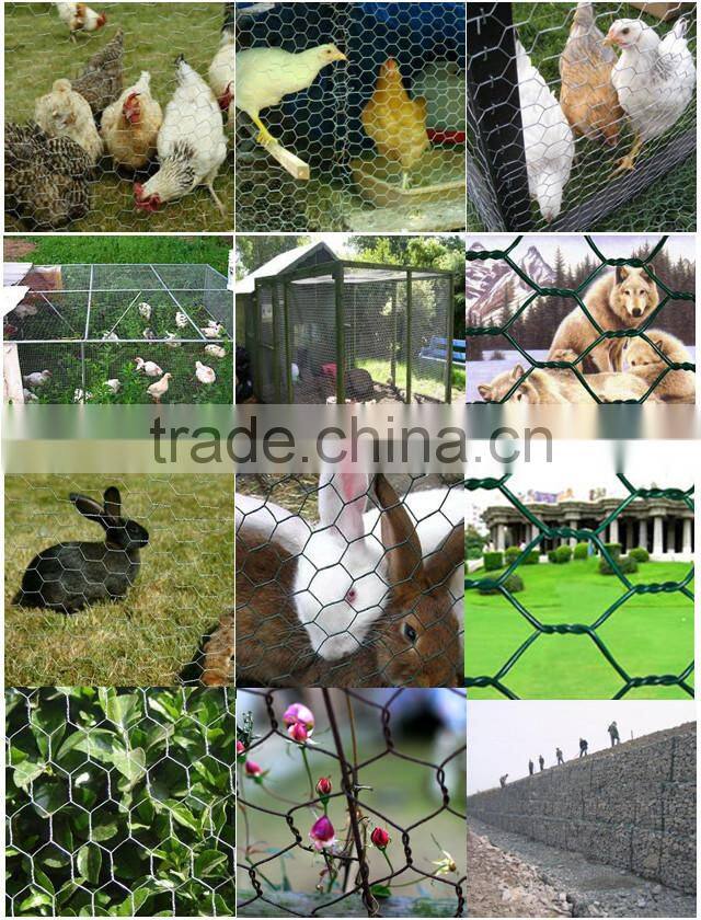 Poultry Wire Fence/Poultry Wire Fence/8 gauge, 1"Chicken Wire