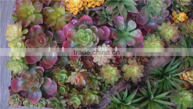 Home and outdoor decoration synthetic cheap artificial vertical green grass succulent wall E08 04C44
