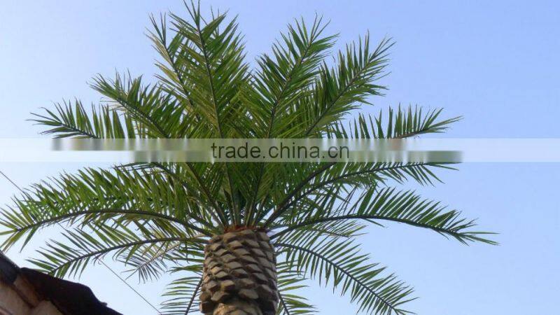 Outdoor Plastic As You Requirement Decorative Date Palm Artificial Tree