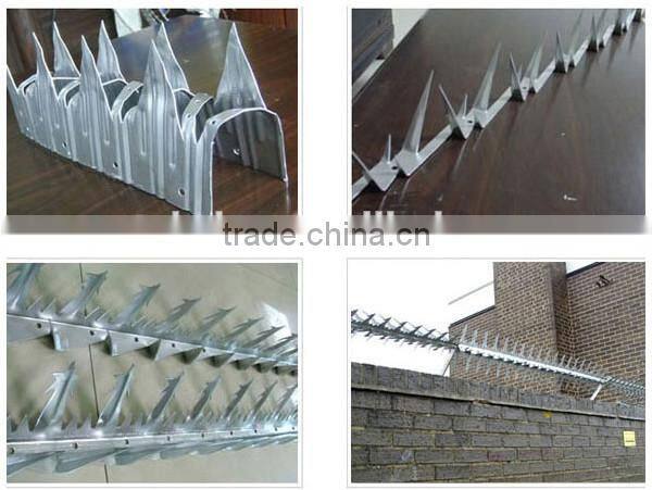 Good Quality High Security Anti Climb Wall Spikes
