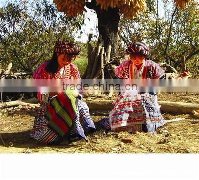 wholesale shoes in china Factory outlet soft bottom toddler shoes girls anti-slip chevron shoes baby colorful chevron prehobbler