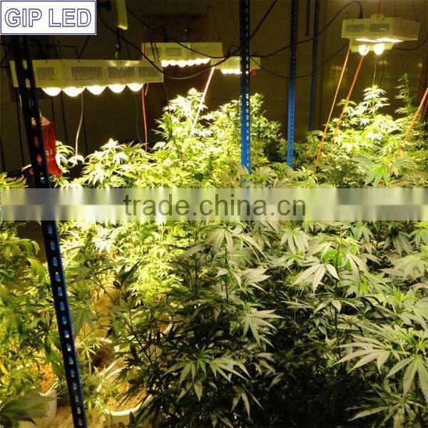 led grow light in patio lawn@gaden