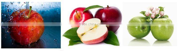 Hot sales stainless steel apple peeler corer slicer/apple corer/apple core remover