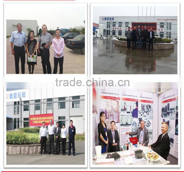 Segment shape magnet in bright silver for wind turbine