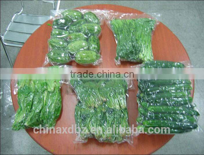 DZ-500 Vacuum Packaging Machine