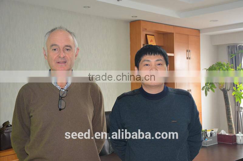 Best Bean Seeds SX Cowpea Seeds No.1410