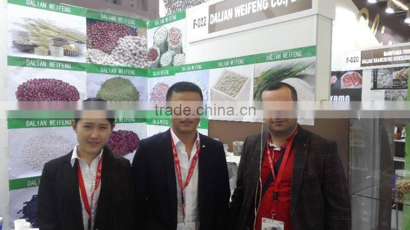 New crop Chinese sunflower seed kernel for export