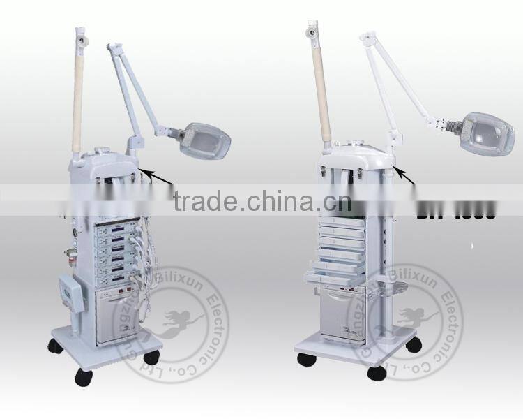 hotsale 17 in 1 multifunction skin care beauty salon machine DIY-1001