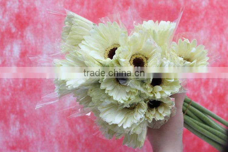 Various hot-sale flower single stem gerbera