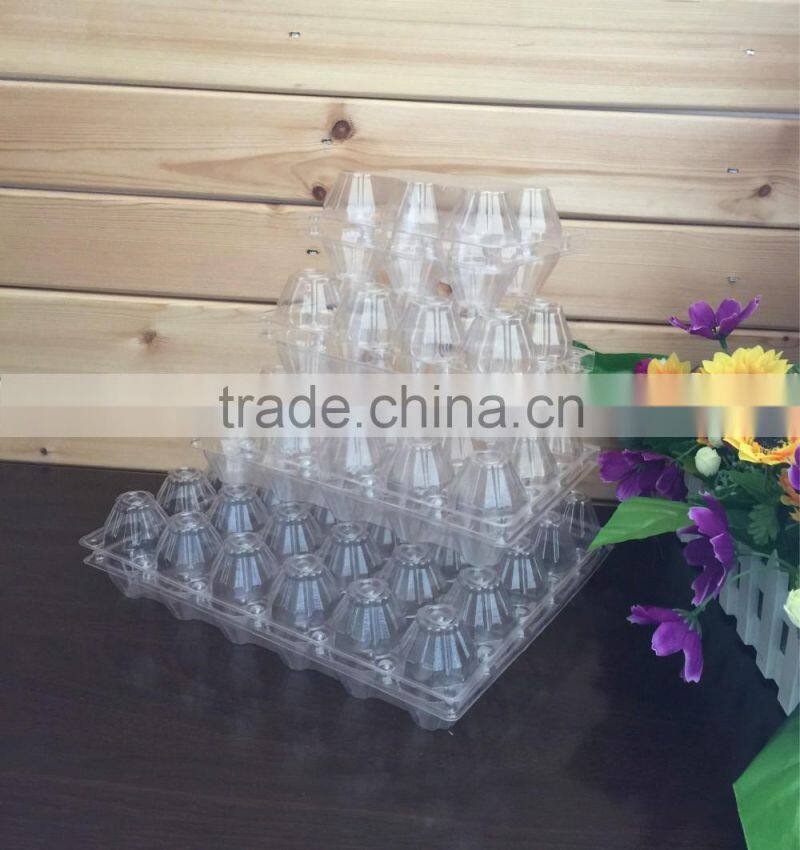 Plastic quail tray quail egg packaging quail egg cartons for sale