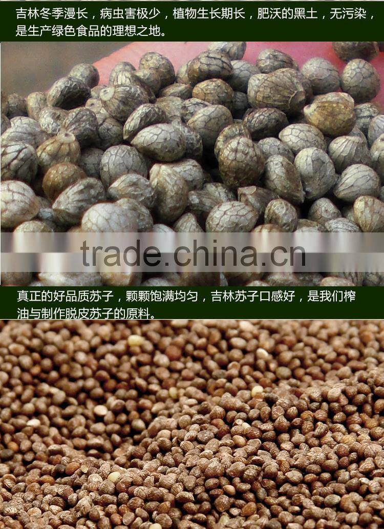 Brown Perilla Seeds for oil/china periiia oil