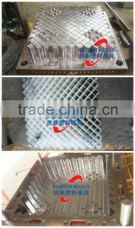 Huge plastic injection tray mold for goods
