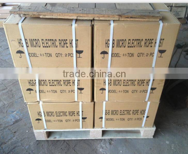 100kg PA100-200 small lift winch