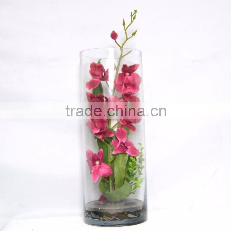 Festival Orchid in Clear Glass Vase