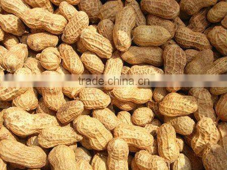 Peanuts