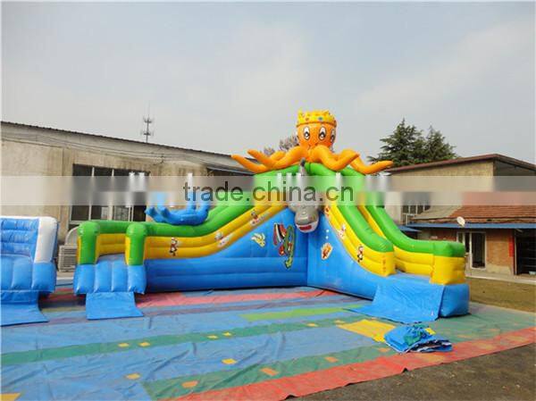 Giant inflatable water slide for kids and adults with low price