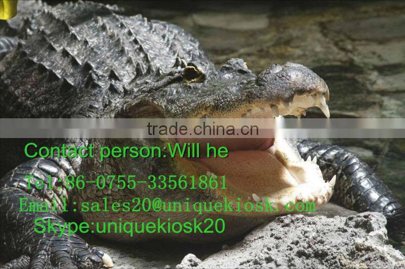 Antique reproduction furniture customized home furniture&wood home furniture&home styles furniture