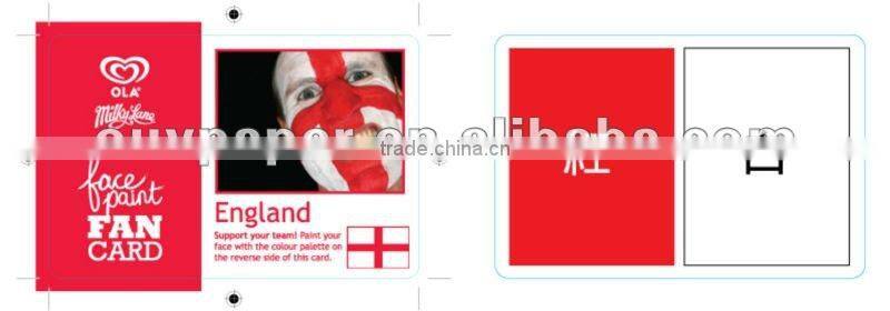 HOT Sporting colorful face paint card Sport supplies Europe Cup