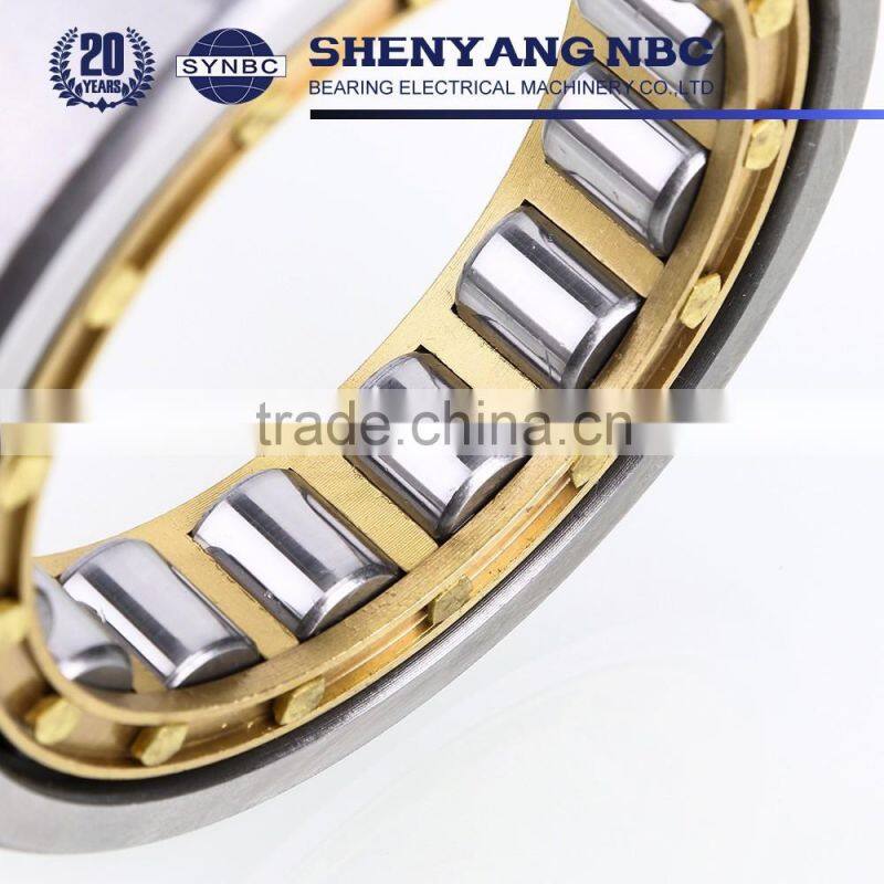 Cylindrical Roller Bearing Made of Chrome Steel Gcr15 NU303 NU204 NU205