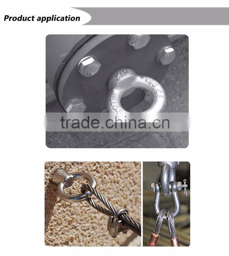 Drop forged steel DIN 582 Lifting Eye Nuts