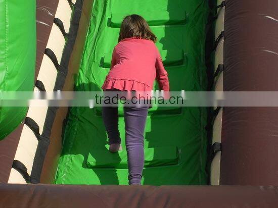 Hola summer color inflatable slip n slide/inflatable slide/inflatable water slide