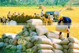 5% BROKEN LONG GRAIN RICE