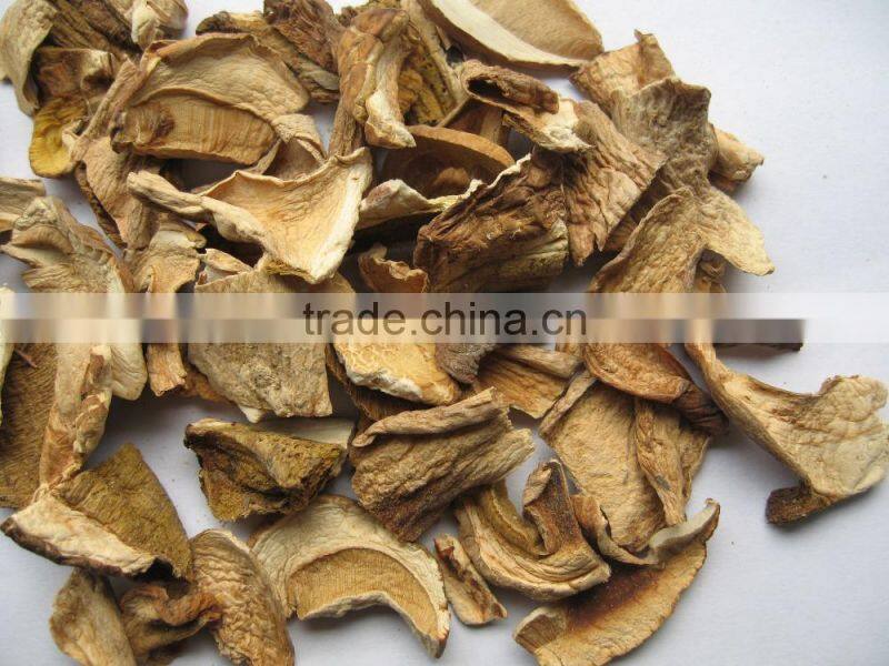 Alibaba buy now market prices for mushroom products made in asia
