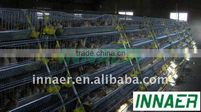 quail cage for sale(factory)