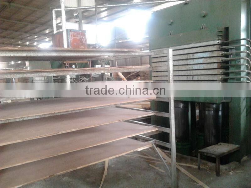 Bintangore Plywood red face, back good grade B