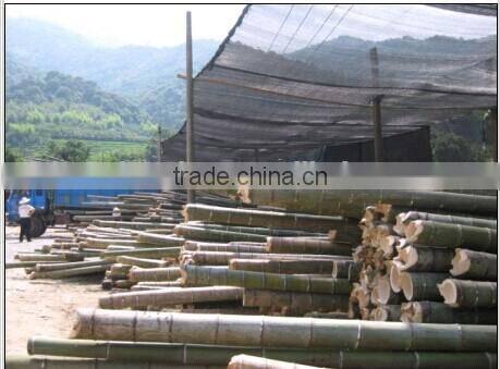 odourless machine to make charcoal bbq