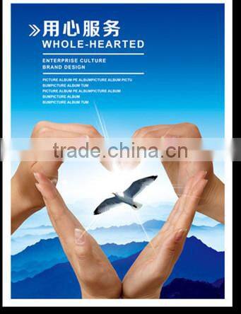 full automatic small egg incubator TD-264