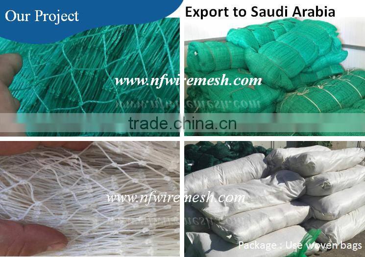 knotless anti bird protection safety net/100% HDPE UV Agricultural Anti Bird Net(Guangzhou Factory)
