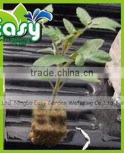 20cm Starter Plugs Cubes - rockwool hydroponic grow media. Propagation Cloning Rockwool Cubes