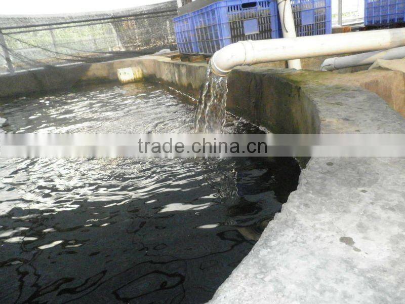 10T to 100T protein skimmer / aquarium protein skimmer / commercial protein skimmer