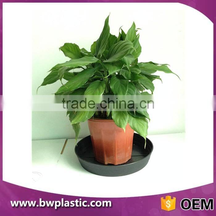 fashion uesful flower pots,garden hot pot