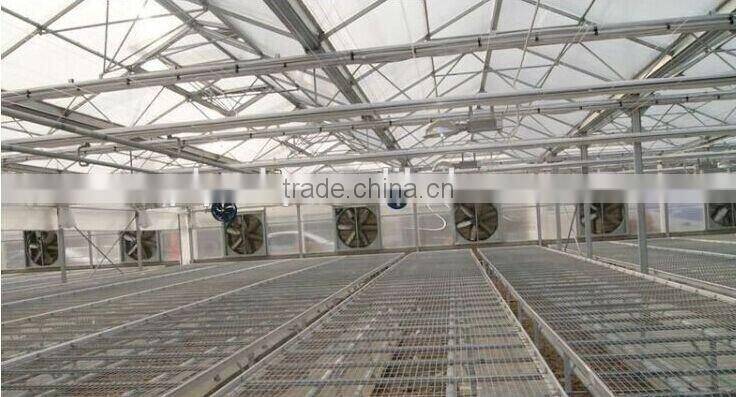 Wall Mount Industrial Extractor Fans/Exhaust Fan/Ventilation Fan