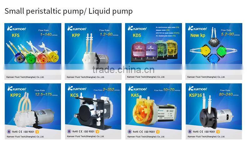 KCS model 12v/24v mini peristaltic pump with DC motor