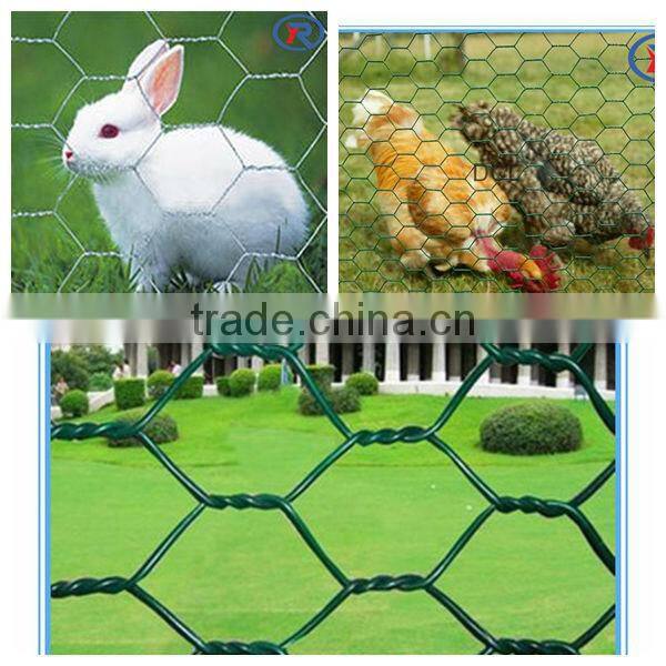 China lowest price galvanized hexagonal wire netting/decorative chicken wire mesh