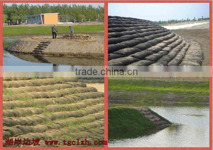 Slope protection engineering geo bag