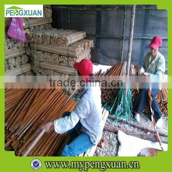 Garden Stake Tools Handle for Hoe