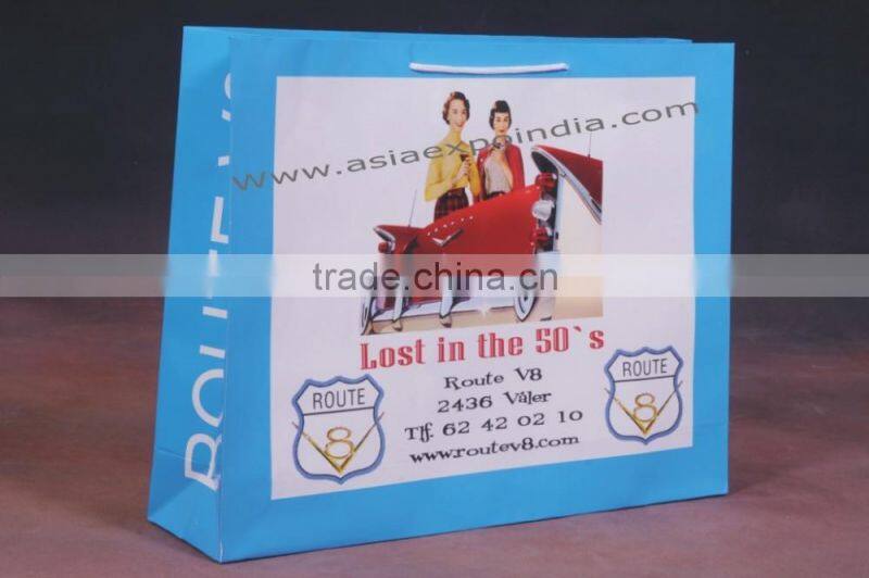 Paper Bags with Glossy finish and rope handles