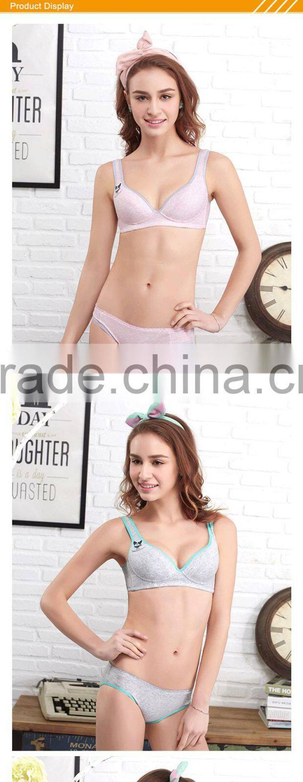 HSZ-2271 Latest Design 2017 Women Sexy Panty Lingerie Indian Bra Brands Customized Elastic Band Mature Lady Hot Underwear