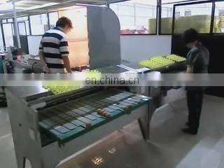 Best Selling Egg Brushing Machine/Egg Sorting Machine/Egg Washing Machine