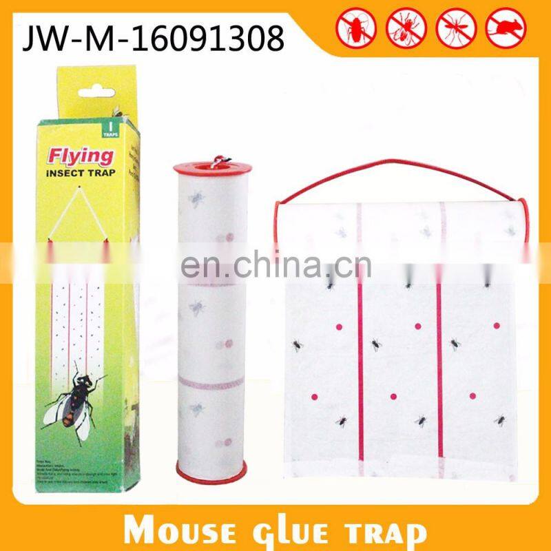 Insecticides For Public Health Sticky Fly Paper Fruit Fly Glue Board